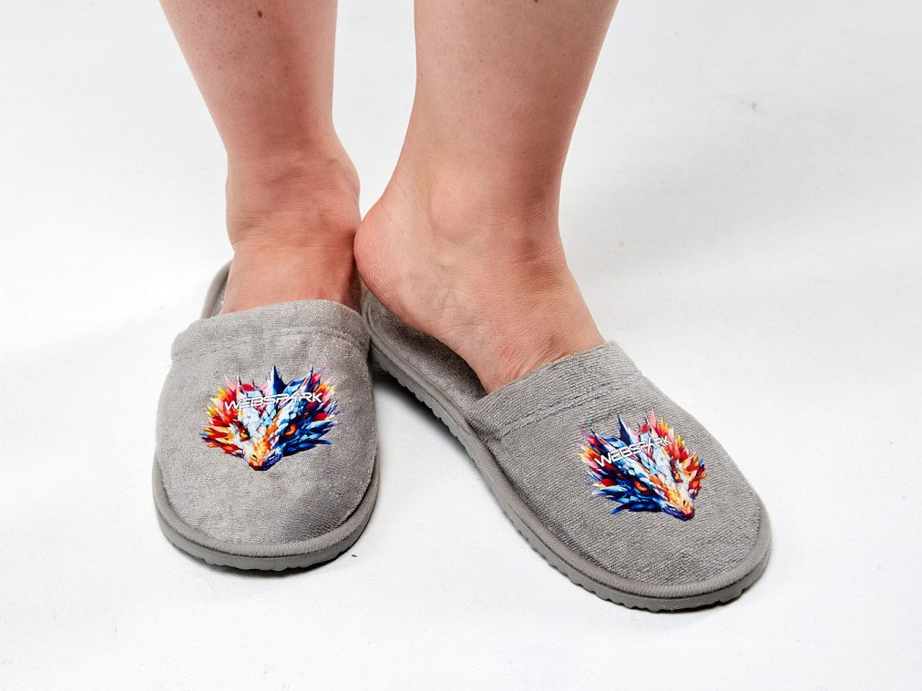 slippers_dragon